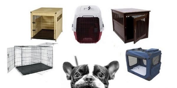 Types of Dog Crates