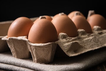 Improving the Effectiveness of Egg Cartons for Soundproofing