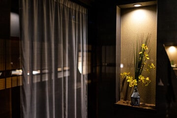 Looking for Soundproof Room Divider Curtains
