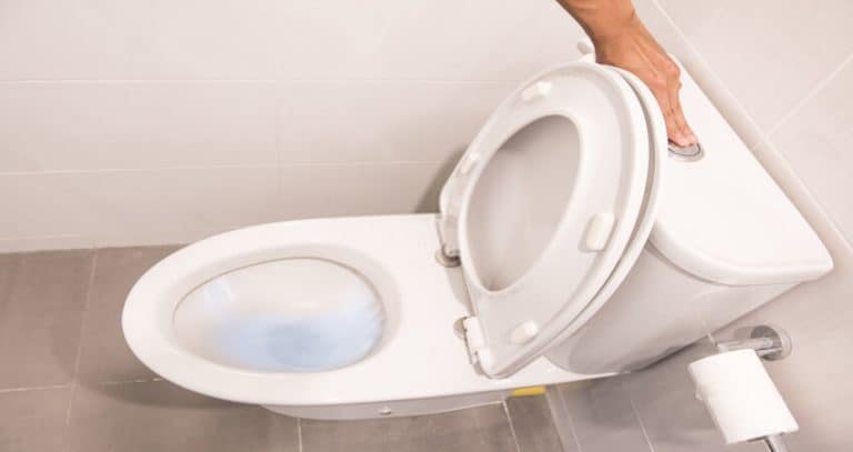 5 Best Quietest Flushing Toilet: Reviews & Buying Guide » QuietLivity